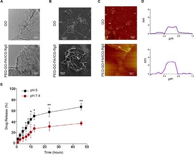 Graphene Oxide Nanoparticle–Loaded Ginsenoside Rg3 Improves Photodynamic Therapy in Inhibiting Malignant Progression and Stemness of Osteosarcoma